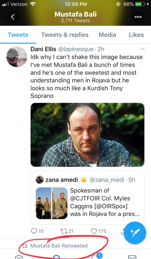 Mustafa Bali-Tony Soprano